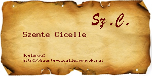 Szente Cicelle névjegykártya